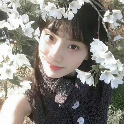 《心之所归》海报